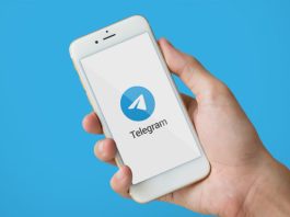 ¡NUEVO CANAL DE TELEGRAM!